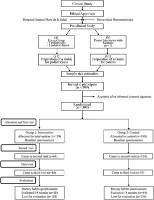 An interdisciplinary intervention program to prevent early childhood caries in the Dominican Republic